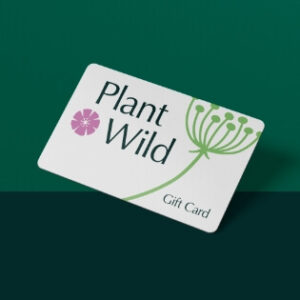 Gift Vouchers